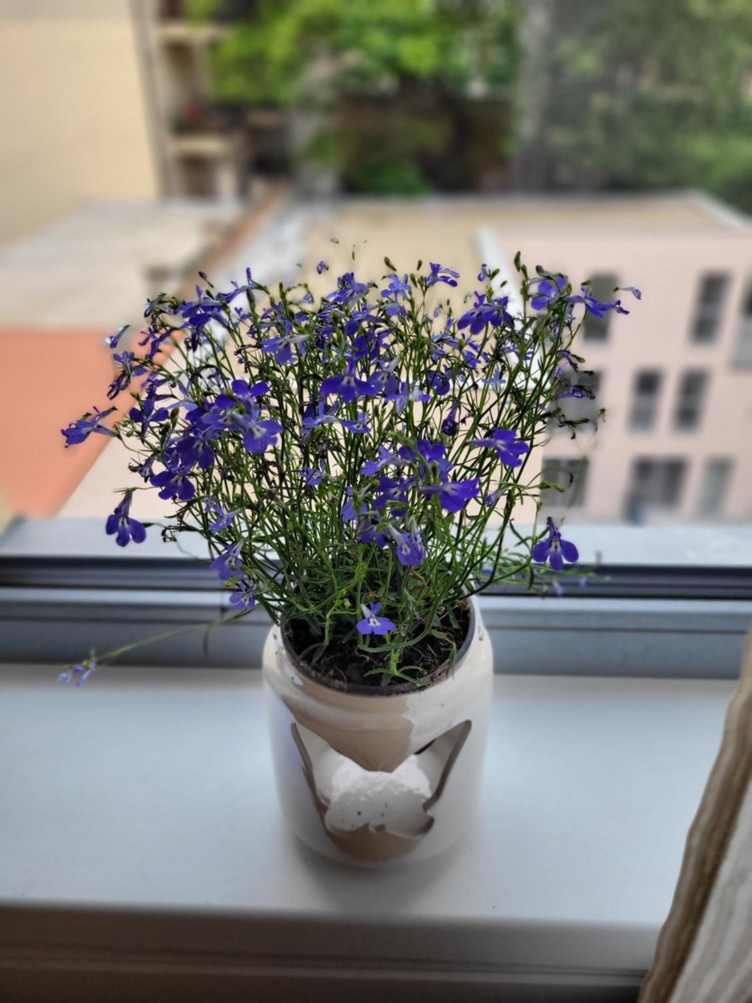 Apartamento Klidne Misto Pro Tebe Praga
